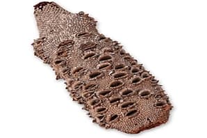 石狮泰安东岳gt2542起重机ss-11079系列